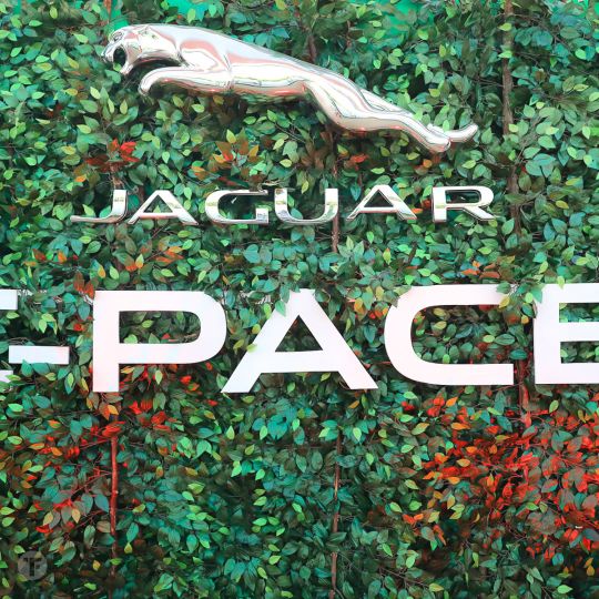 Jaguar Event